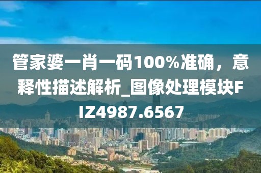 管家婆一肖一码100%准确，意释性描述解析_图像处理模块FIZ4987.6567