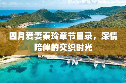 四月爱妻秦玲章节目录，深情陪伴的交织时光
