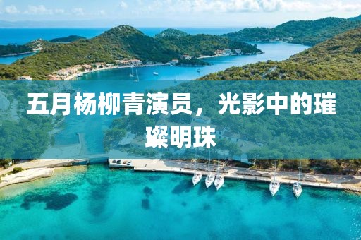 五月杨柳青演员，光影中的璀璨明珠