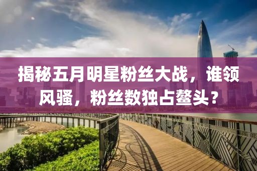 揭秘五月明星粉丝大战，谁领风骚，粉丝数独占鳌头？