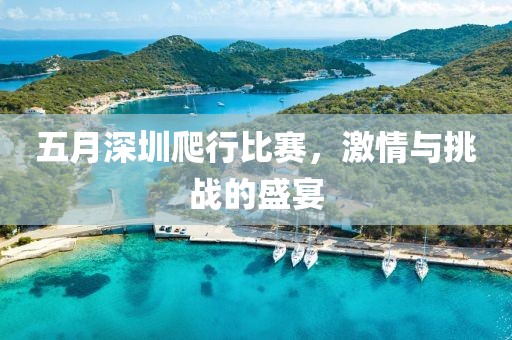 五月深圳爬行比赛，激情与挑战的盛宴