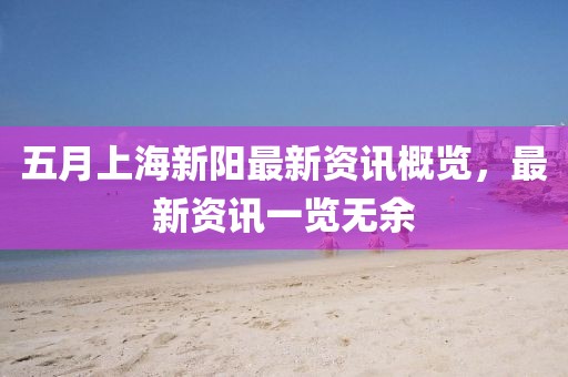 五月上海新阳最新资讯概览，最新资讯一览无余