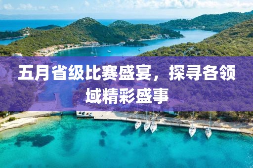 五月省级比赛盛宴，探寻各领域精彩盛事