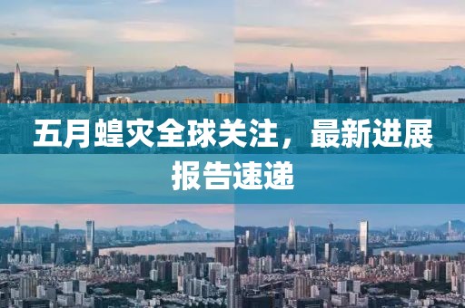 五月蝗灾全球关注，最新进展报告速递