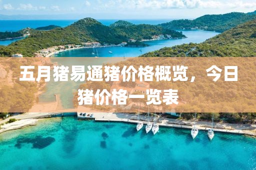 五月猪易通猪价格概览，今日猪价格一览表