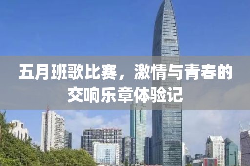 五月班歌比赛，激情与青春的交响乐章体验记