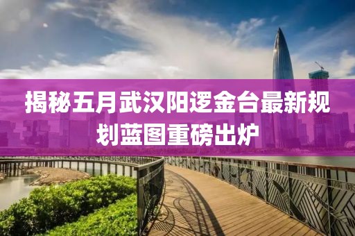 揭秘五月武汉阳逻金台最新规划蓝图重磅出炉