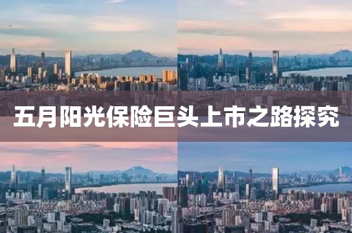 五月阳光保险巨头上市之路探究