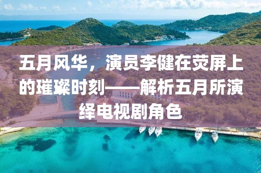 五月风华，演员李健在荧屏上的璀璨时刻——解析五月所演绎电视剧角色