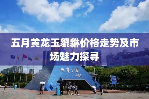 五月黄龙玉貔貅价格走势及市场魅力探寻