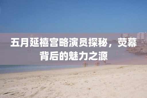 五月延禧宫略演员探秘，荧幕背后的魅力之源