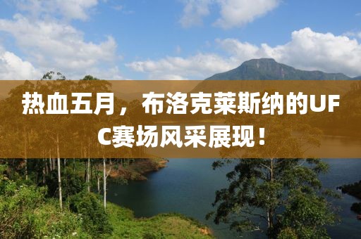 热血五月，布洛克莱斯纳的UFC赛场风采展现！