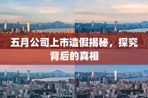 五月公司上市造假揭秘，探究背后的真相
