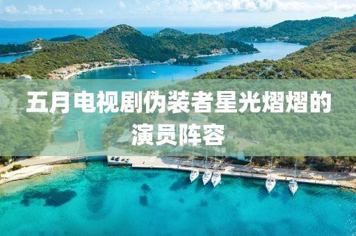 五月电视剧伪装者星光熠熠的演员阵容