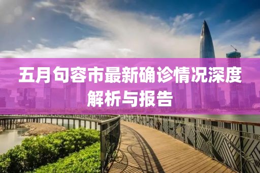 五月句容市最新确诊情况深度解析与报告
