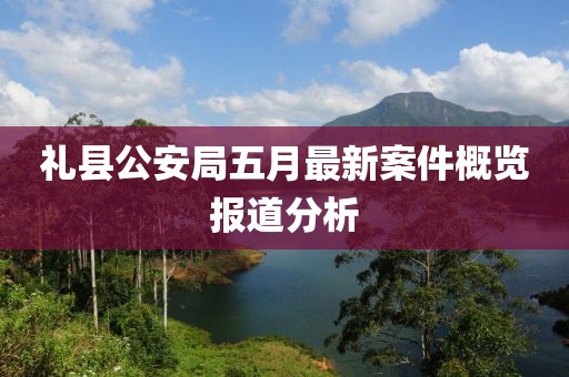 礼县公安局五月最新案件概览报道分析