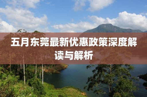 五月东莞最新优惠政策深度解读与解析