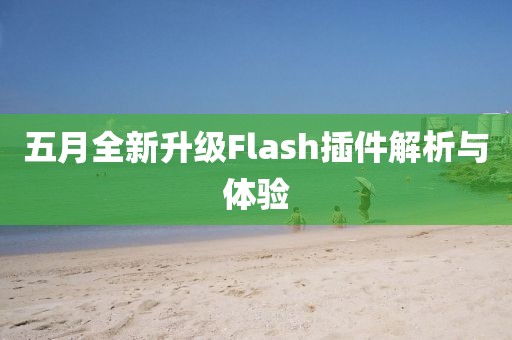 五月全新升级Flash插件解析与体验