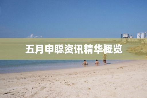 五月申聪资讯精华概览