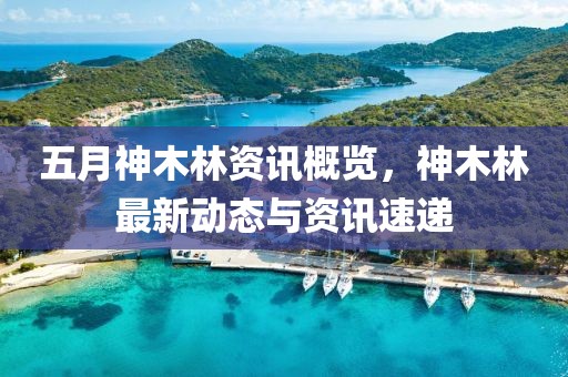 五月神木林资讯概览，神木林最新动态与资讯速递