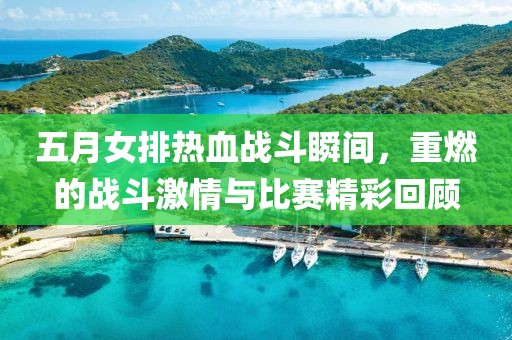 五月女排热血战斗瞬间，重燃的战斗激情与比赛精彩回顾