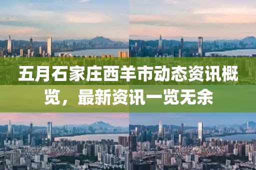五月石家庄西羊市动态资讯概览，最新资讯一览无余