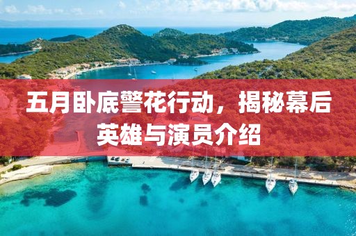 五月卧底警花行动，揭秘幕后英雄与演员介绍