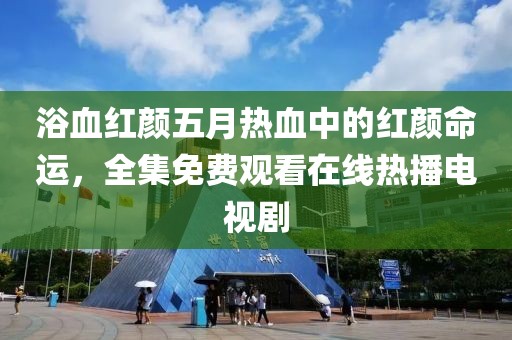 浴血红颜五月热血中的红颜命运，全集免费观看在线热播电视剧