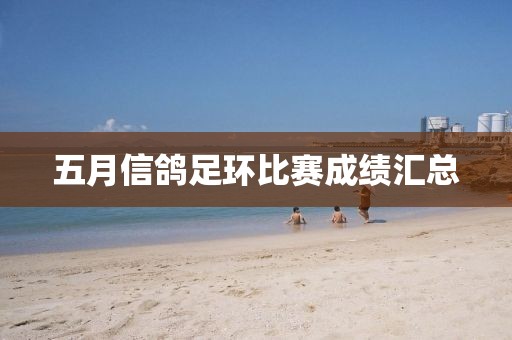 五月信鸽足环比赛成绩汇总