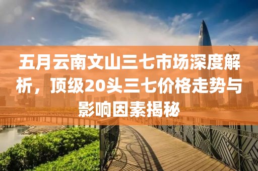 五月云南文山三七市场深度解析，顶级20头三七价格走势与影响因素揭秘