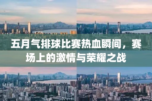 五月气排球比赛热血瞬间，赛场上的激情与荣耀之战
