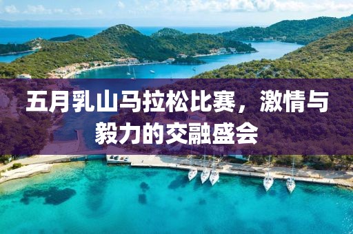 五月乳山马拉松比赛，激情与毅力的交融盛会
