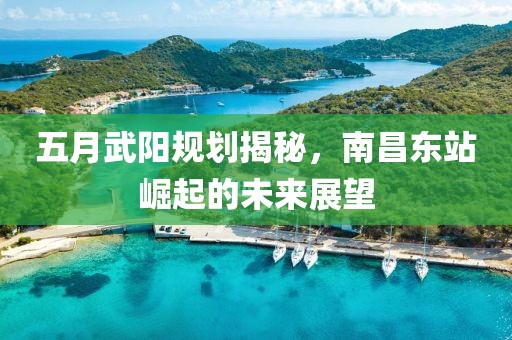 五月武阳规划揭秘，南昌东站崛起的未来展望