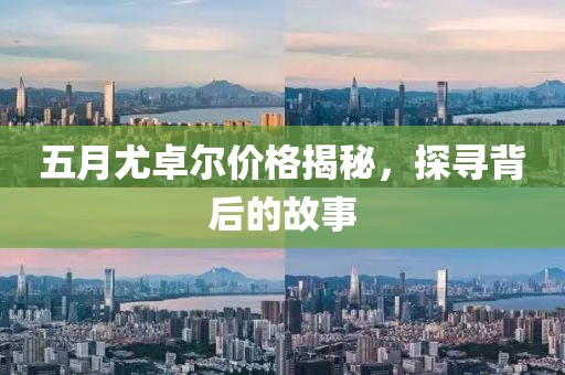 五月尤卓尔价格揭秘，探寻背后的故事