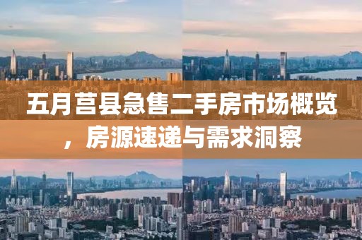 五月莒县急售二手房市场概览，房源速递与需求洞察