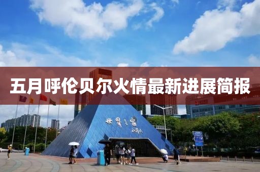 五月呼伦贝尔火情最新进展简报