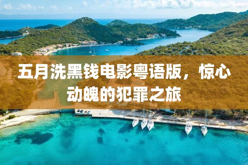 五月洗黑钱电影粤语版，惊心动魄的犯罪之旅