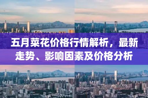 五月菜花价格行情解析，最新走势、影响因素及价格分析