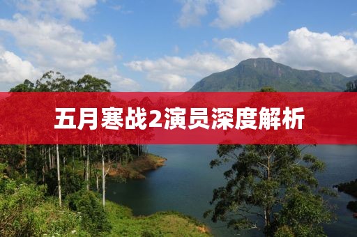 五月寒战2演员深度解析