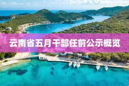 云南省五月干部任前公示概览