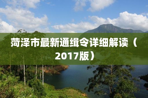 菏泽市最新通缉令详细解读（2017版）