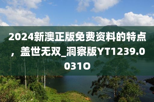 2024新澳正版免费资料的特点，盖世无双_洞察版YT1239.0031O
