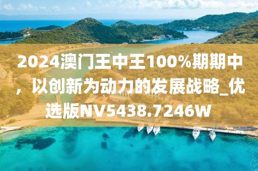 2024澳门王中王100%期期中，以创新为动力的发展战略_优选版NV5438.7246W