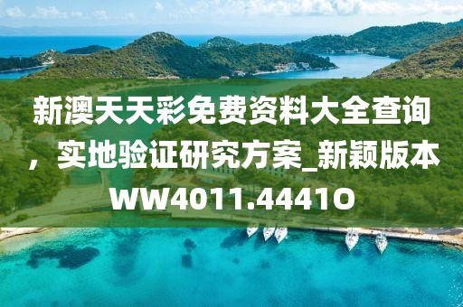 新澳天天彩免费资料大全查询，实地验证研究方案_新颖版本WW4011.4441O