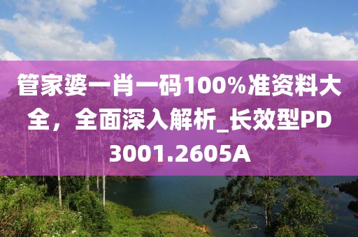 管家婆一肖一码100%准资料大全，全面深入解析_长效型PD3001.2605A