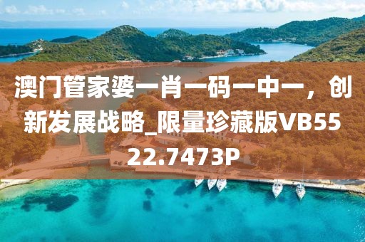澳门管家婆一肖一码一中一，创新发展战略_限量珍藏版VB5522.7473P