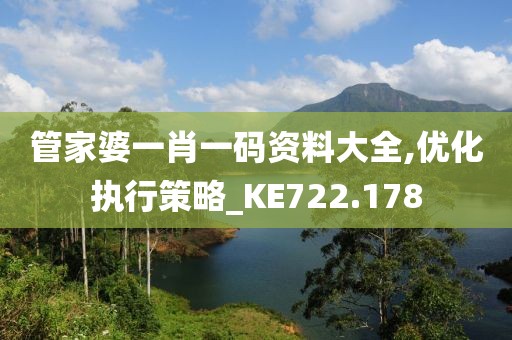 管家婆一肖一码资料大全,优化执行策略_KE722.178