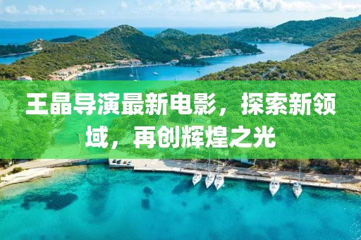 王晶导演最新电影，探索新领域，再创辉煌之光