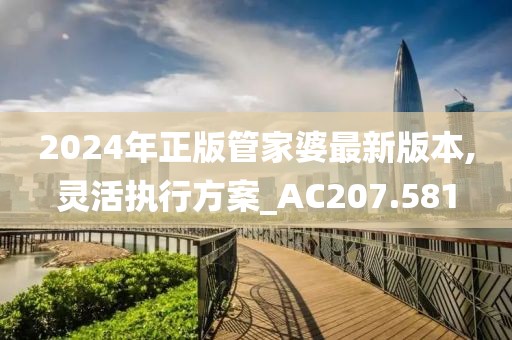 2024年正版管家婆最新版本,灵活执行方案_AC207.581