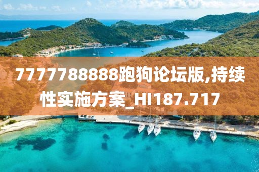 7777788888跑狗论坛版,持续性实施方案_HI187.717